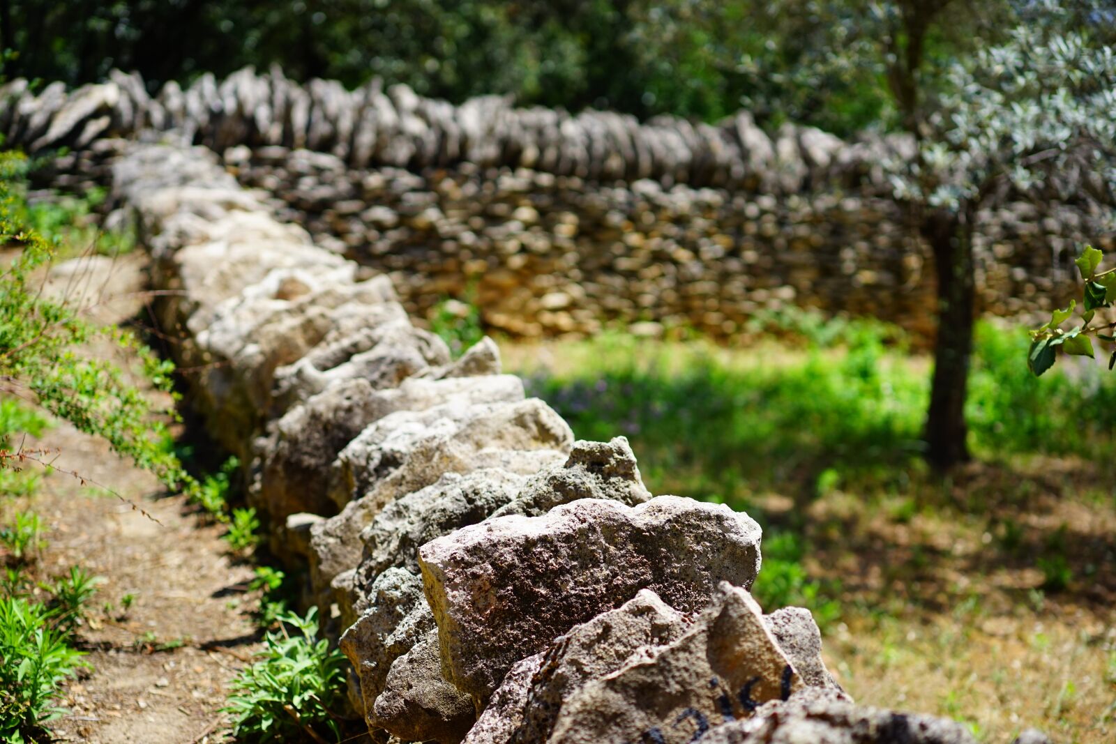 Sony a7 + Sony Sonnar T* FE 55mm F1.8 ZA sample photo. Wall, stone wall, dry photography
