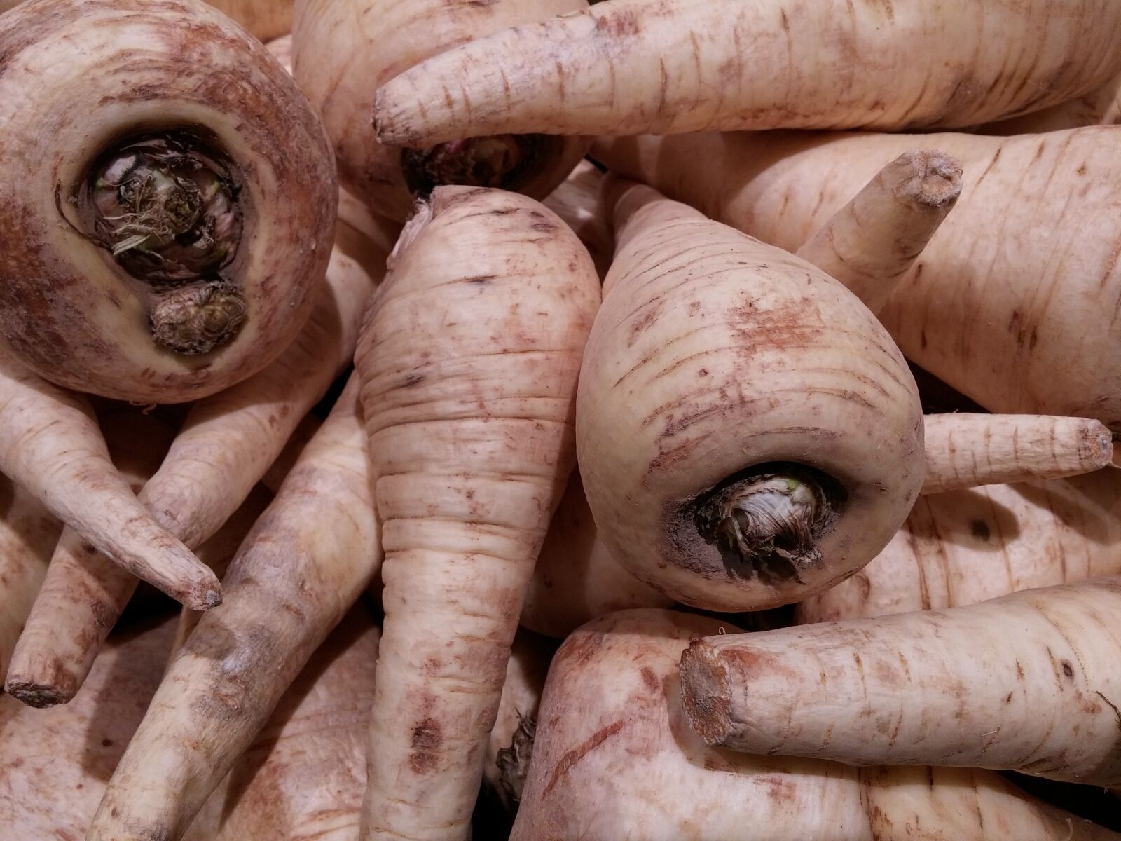 LG D855 sample photo. Parsnips, root, vegetables photography
