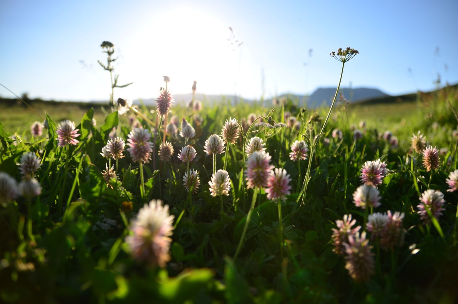 Nikon D5100 sample photo. Nature, landscape, landscapes nature photography
