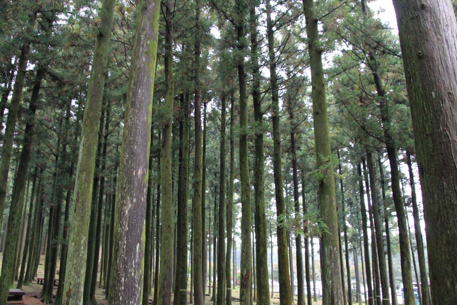 Canon EOS 60D sample photo