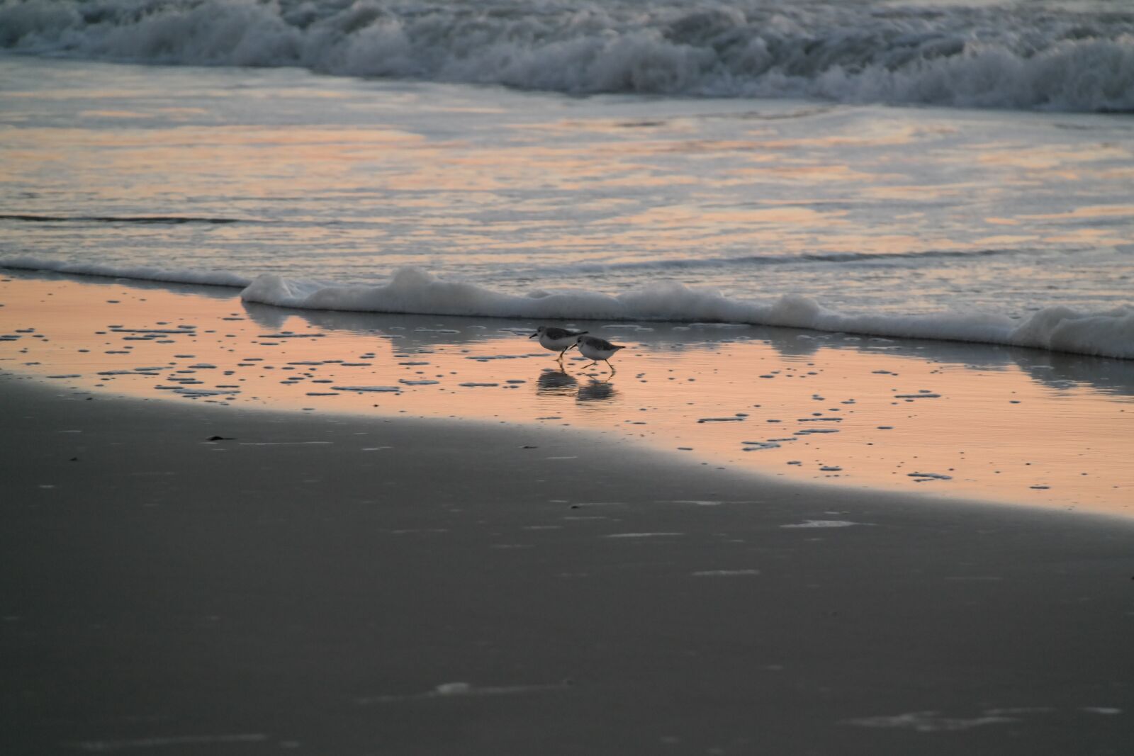Samsung NX300 sample photo. Beach, sea, coast photography