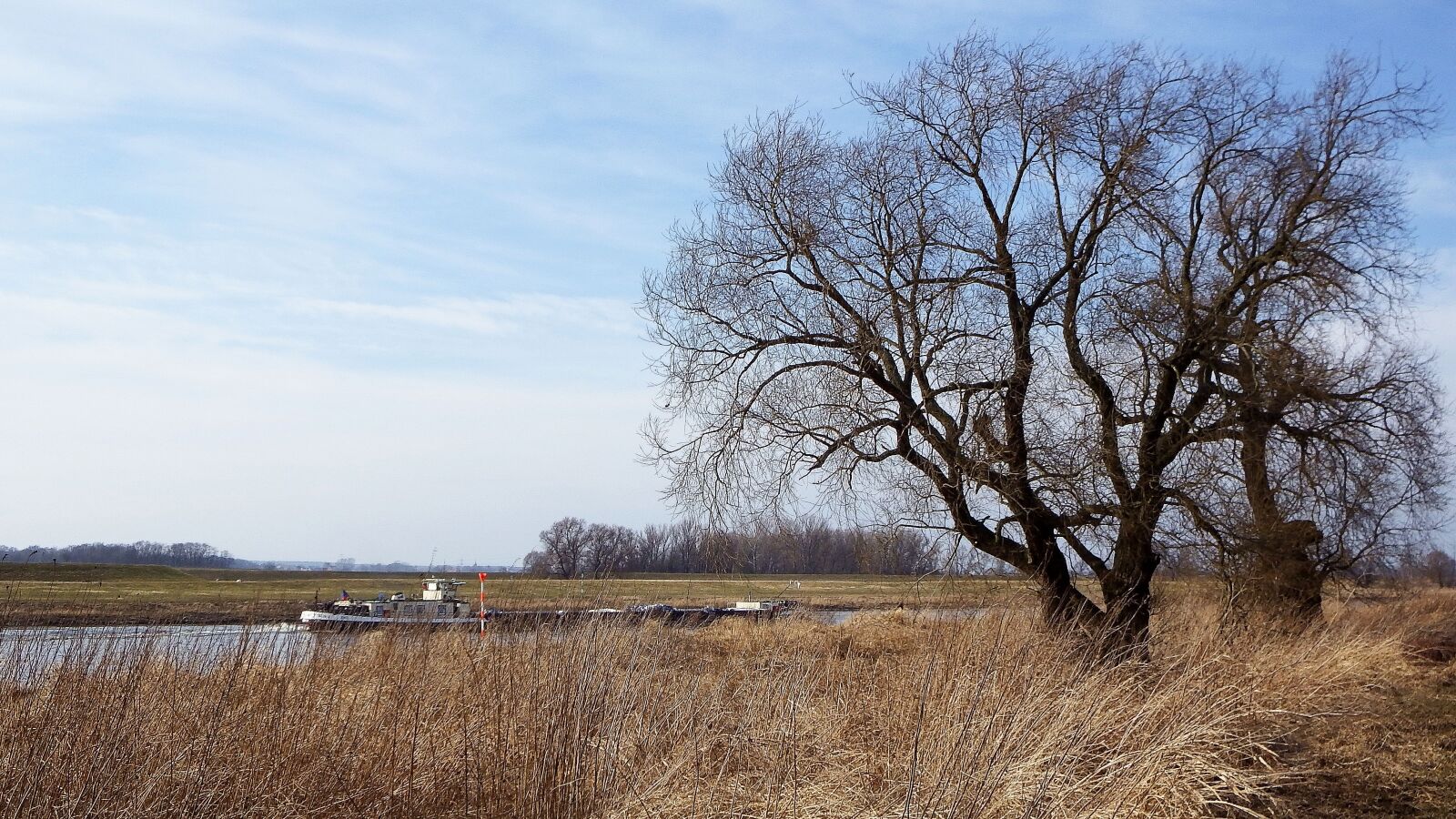 Fujifilm FinePix SL1000 sample photo. Landscape, tree, barge photography