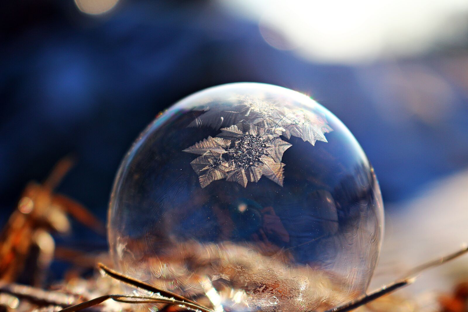 Canon EOS 100D (EOS Rebel SL1 / EOS Kiss X7) sample photo. Soap bubble, frozen bubble photography