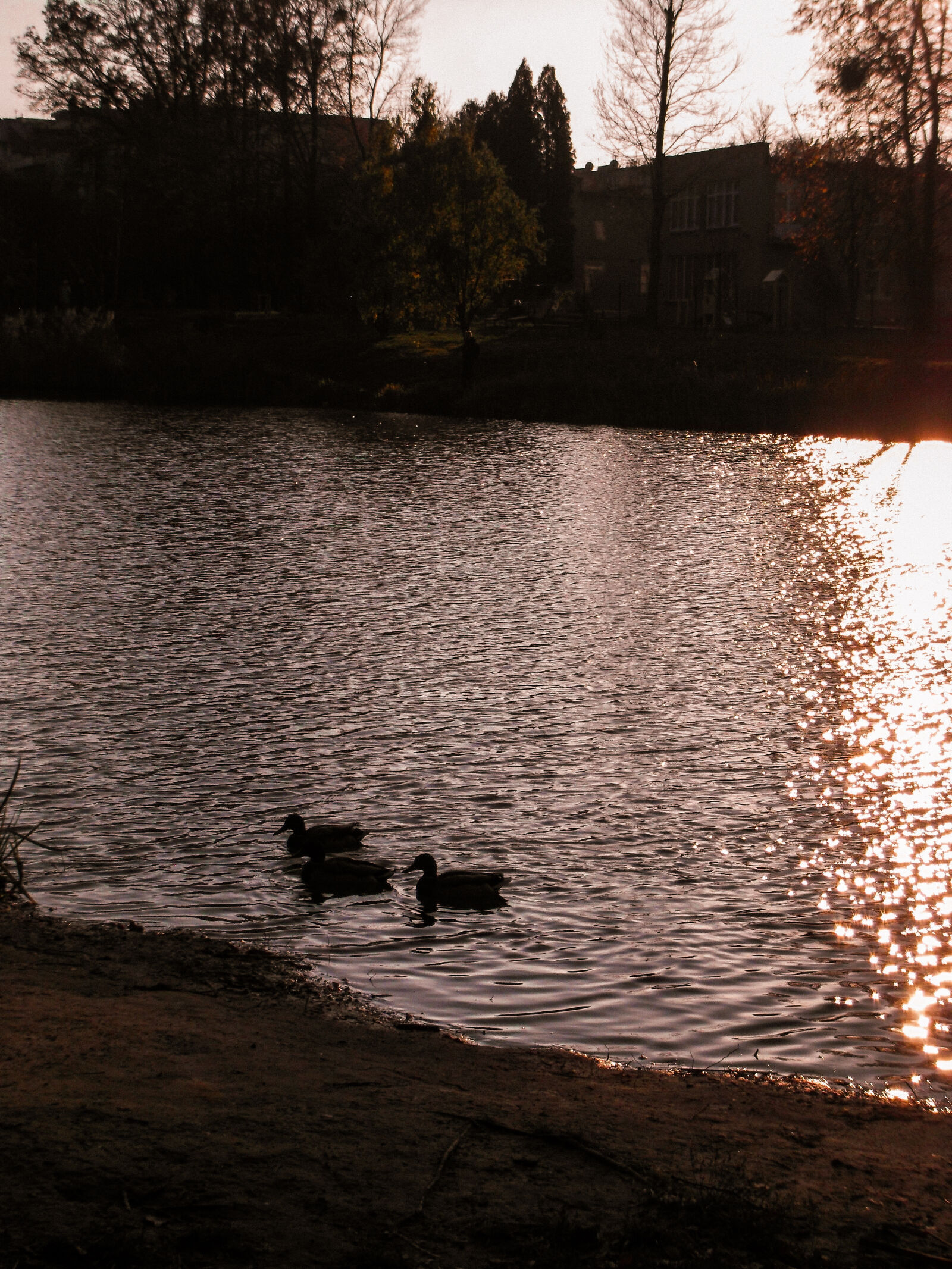 Fujifilm FinePix JV300 sample photo