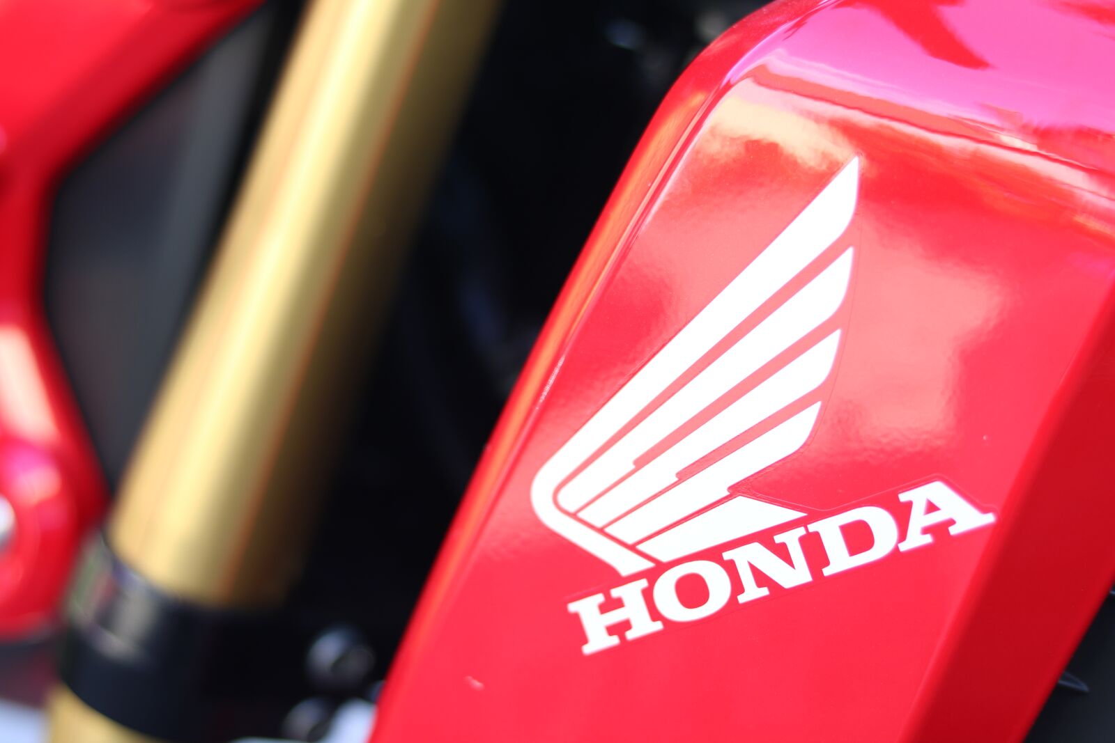 Canon EOS 750D (EOS Rebel T6i / EOS Kiss X8i) sample photo. Honda, fork, noble photography