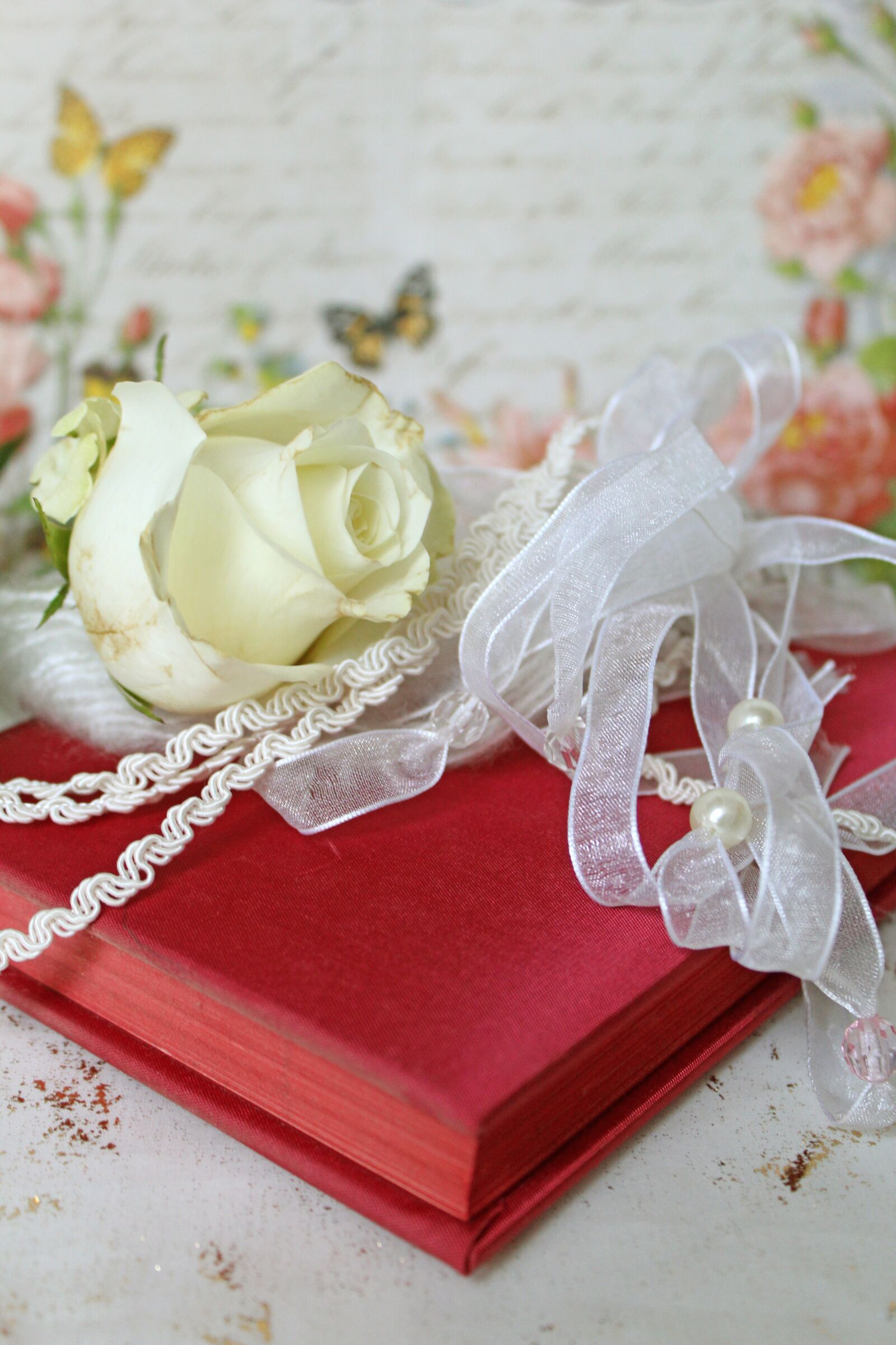 Canon EOS 600D (Rebel EOS T3i / EOS Kiss X5) sample photo. Diary, red, vintage photography