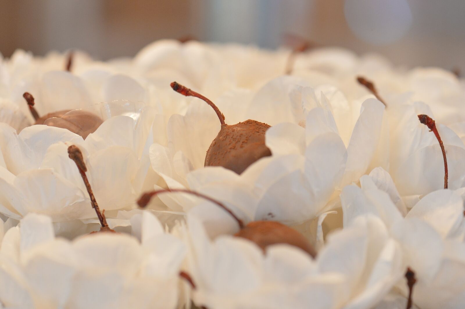 Nikon D4 sample photo. Candy, marriage, sweetie photography