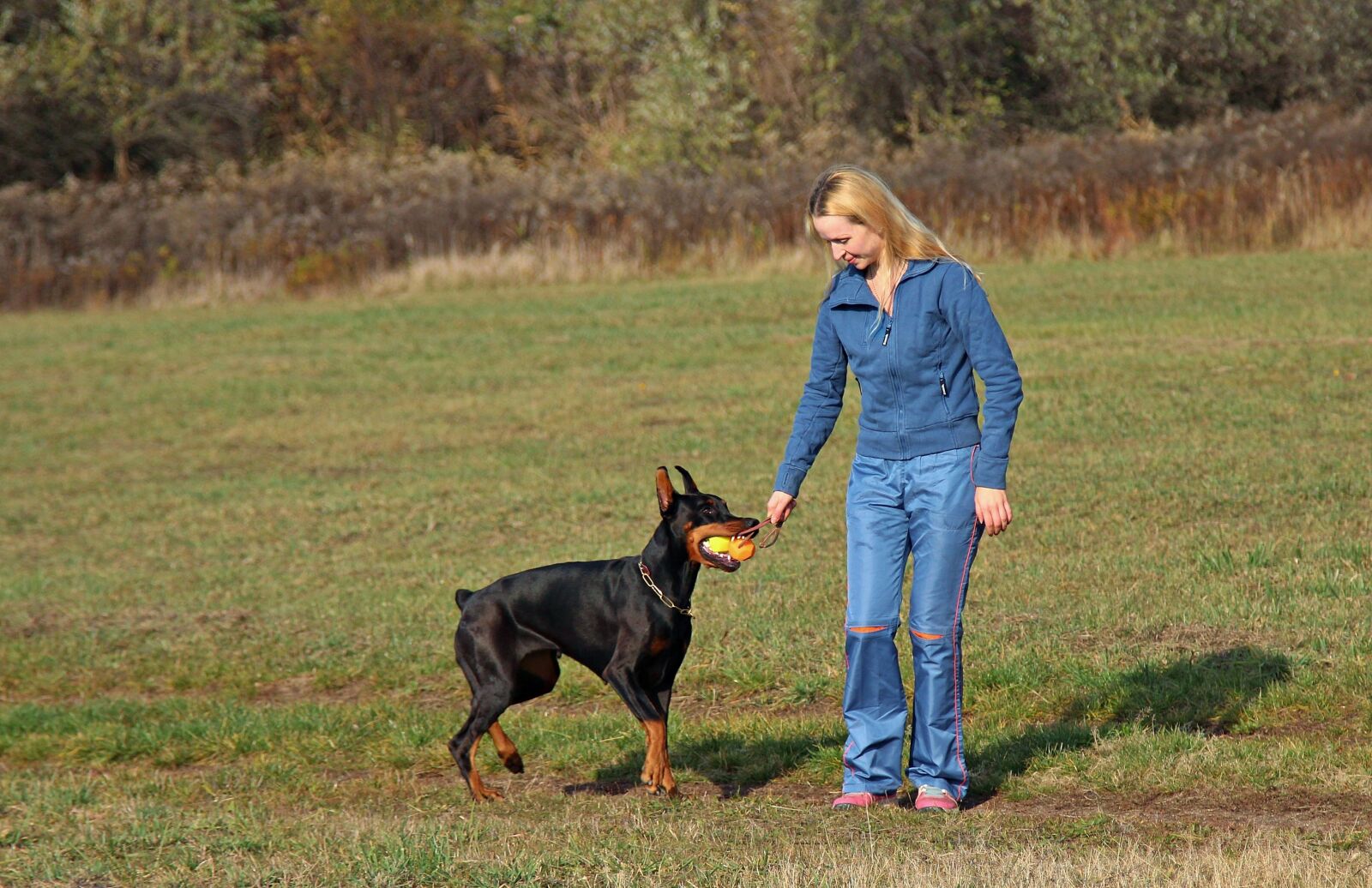 Canon EOS 600D (Rebel EOS T3i / EOS Kiss X5) sample photo. Doberman, blonde woman, love photography