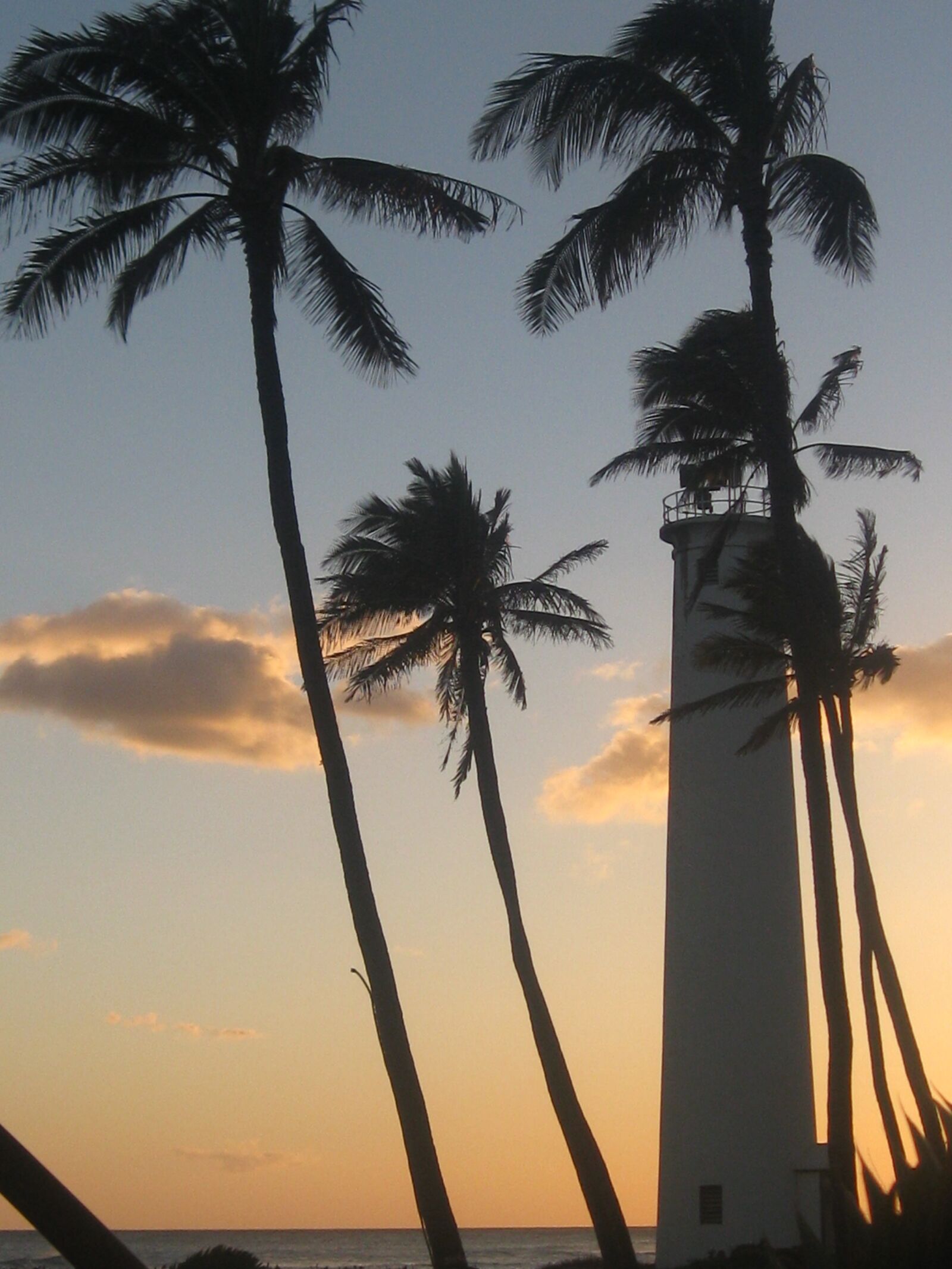 Canon PowerShot A1000 IS sample photo. Sunset, palms, lighthouse photography
