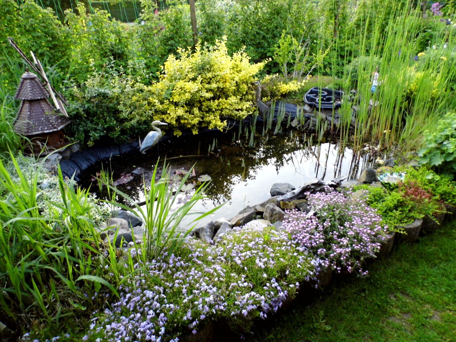 Rollei Powerflex 210 HD sample photo. Biotope, nature, garden photography