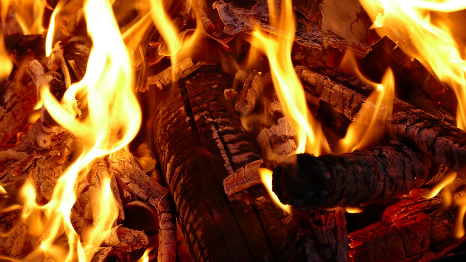 Panasonic Lumix DMC-FZ1000 sample photo. Fire, fire bowl, night photography