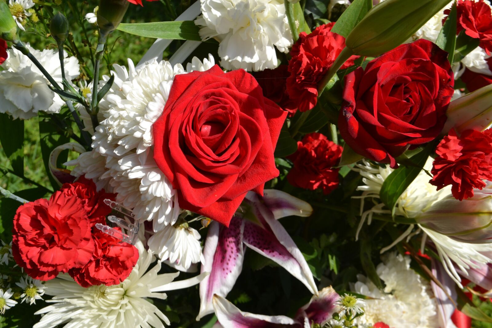 Nikon D3100 sample photo. Bouquet of flowers, roses photography
