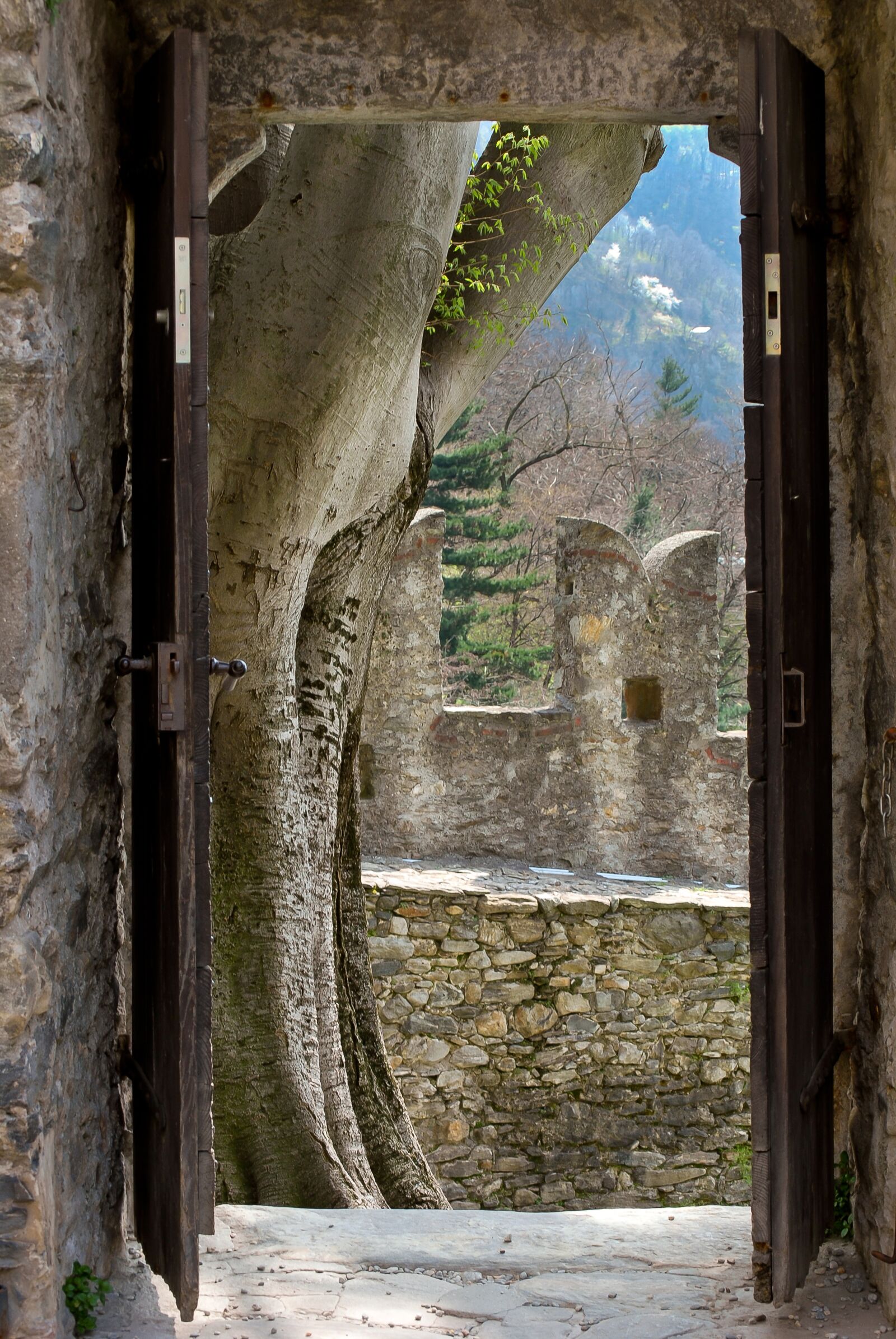 Nikon D60 sample photo. Castle, history, architecture photography