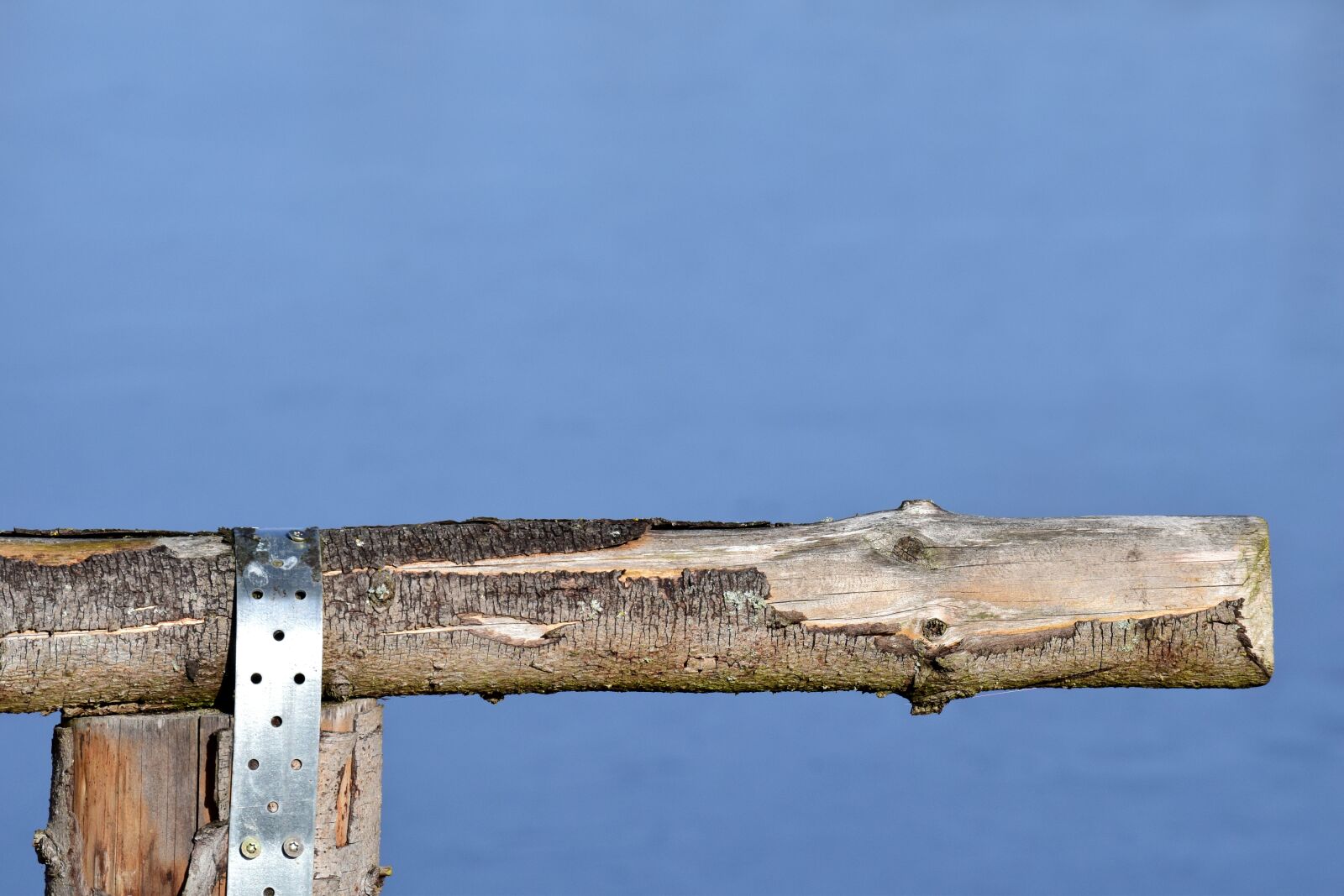 Nikon D3300 sample photo. Wood, fence, branch photography