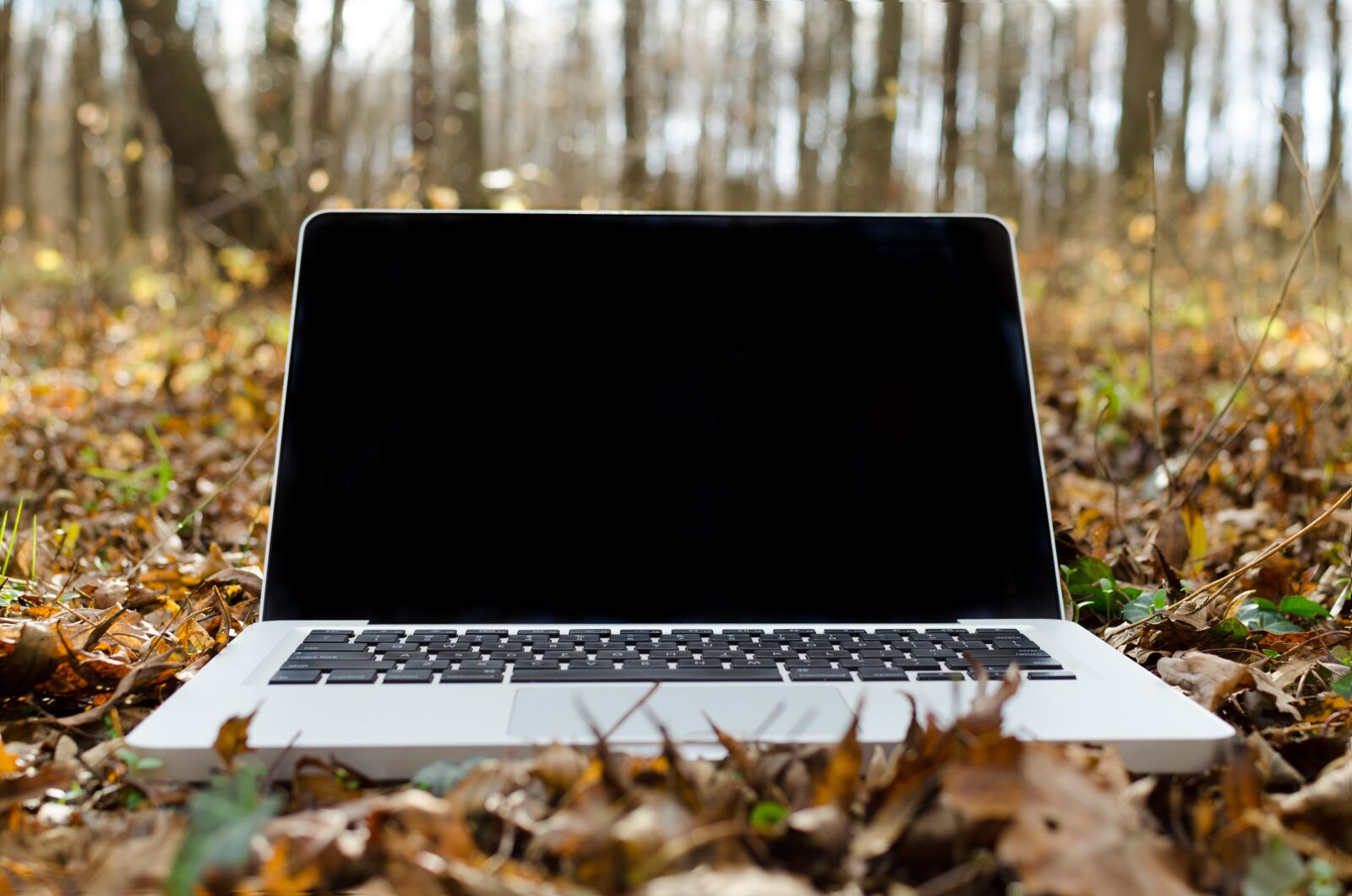 Nikon D5100 sample photo. Laptop, apple, keyboard photography