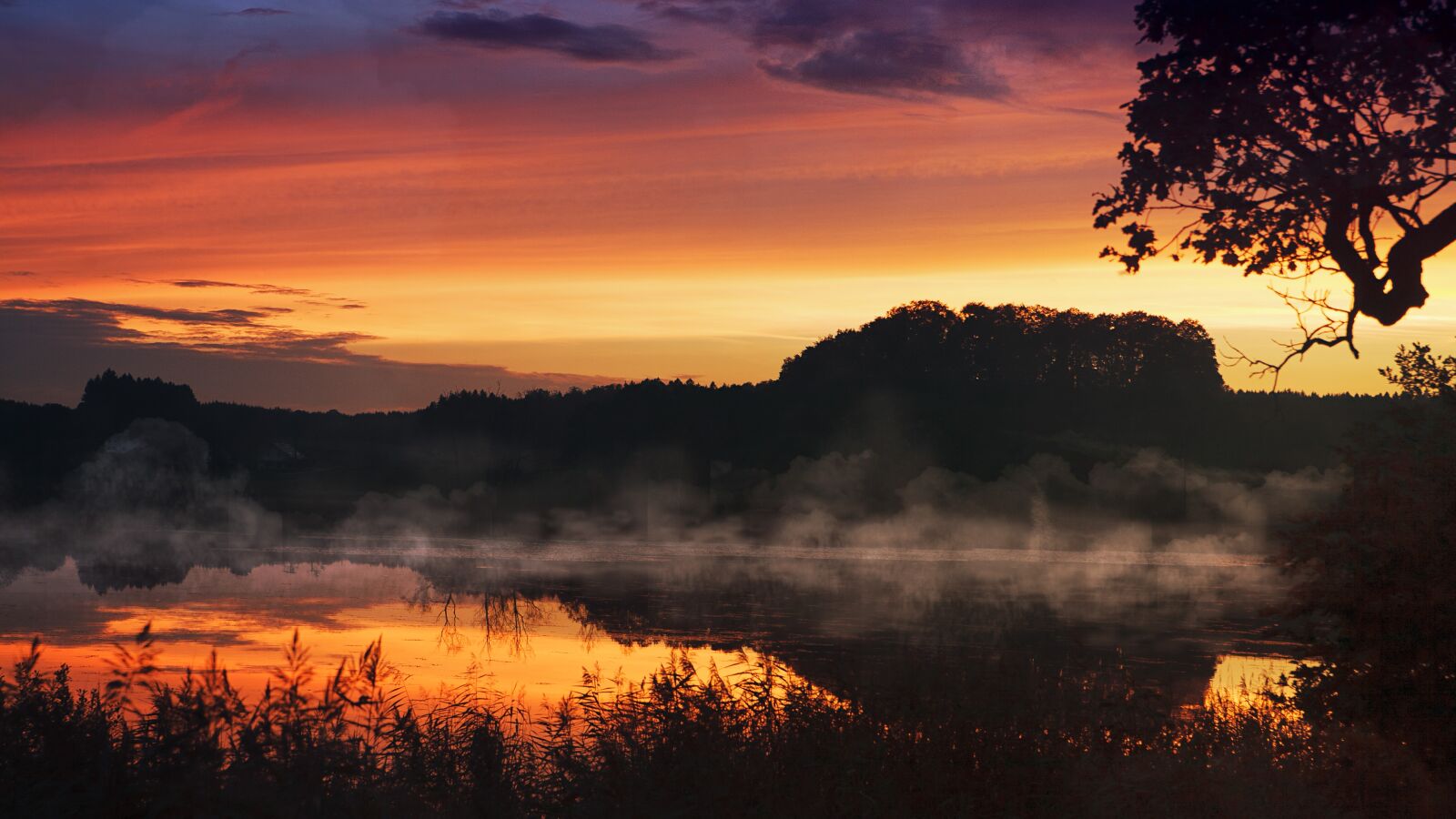 Canon EOS 5D sample photo. Sunset, lake, fog photography