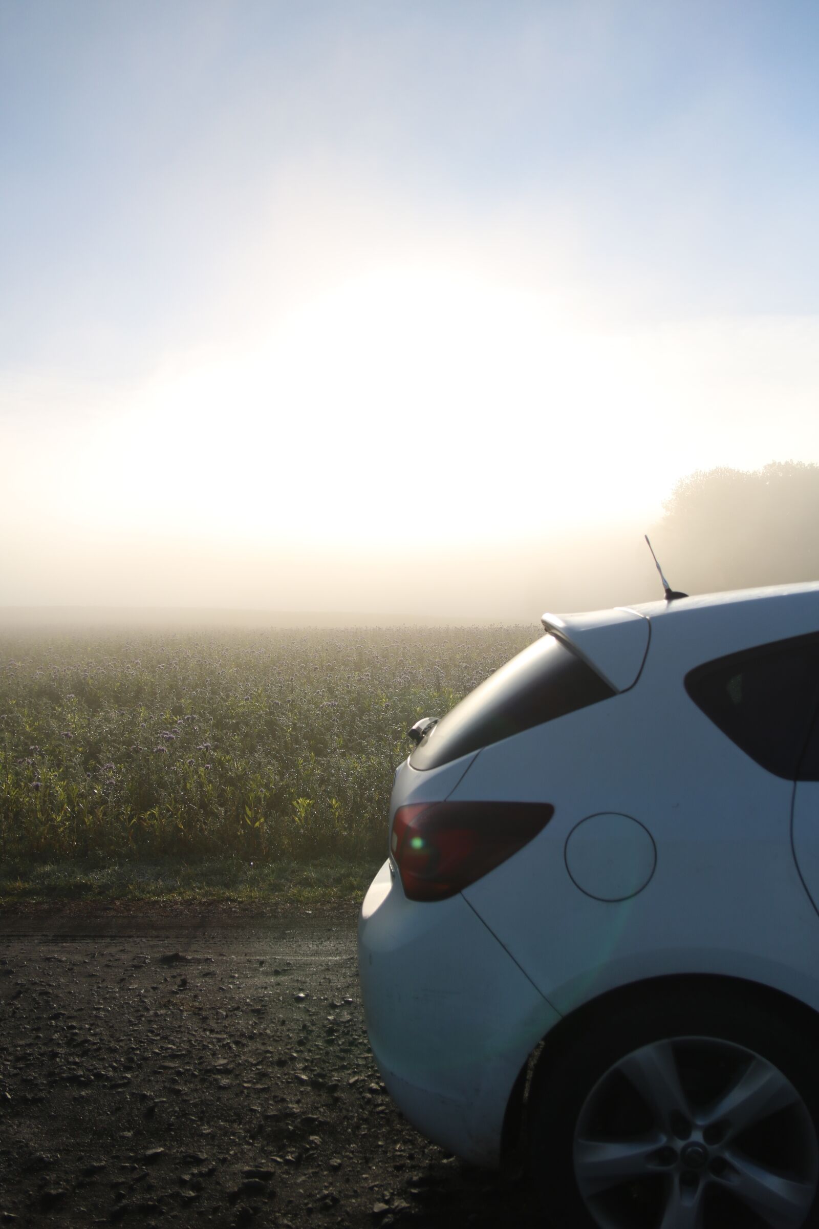 Canon EOS 750D (EOS Rebel T6i / EOS Kiss X8i) sample photo. Sunset, opel, astra photography