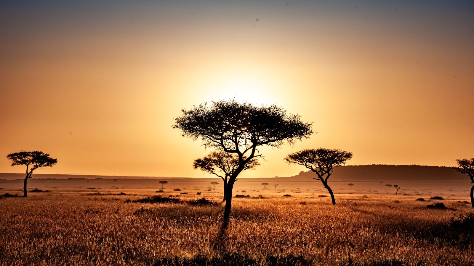 Canon EOS 5D Mark II sample photo. Kenya, savannah, safari photography
