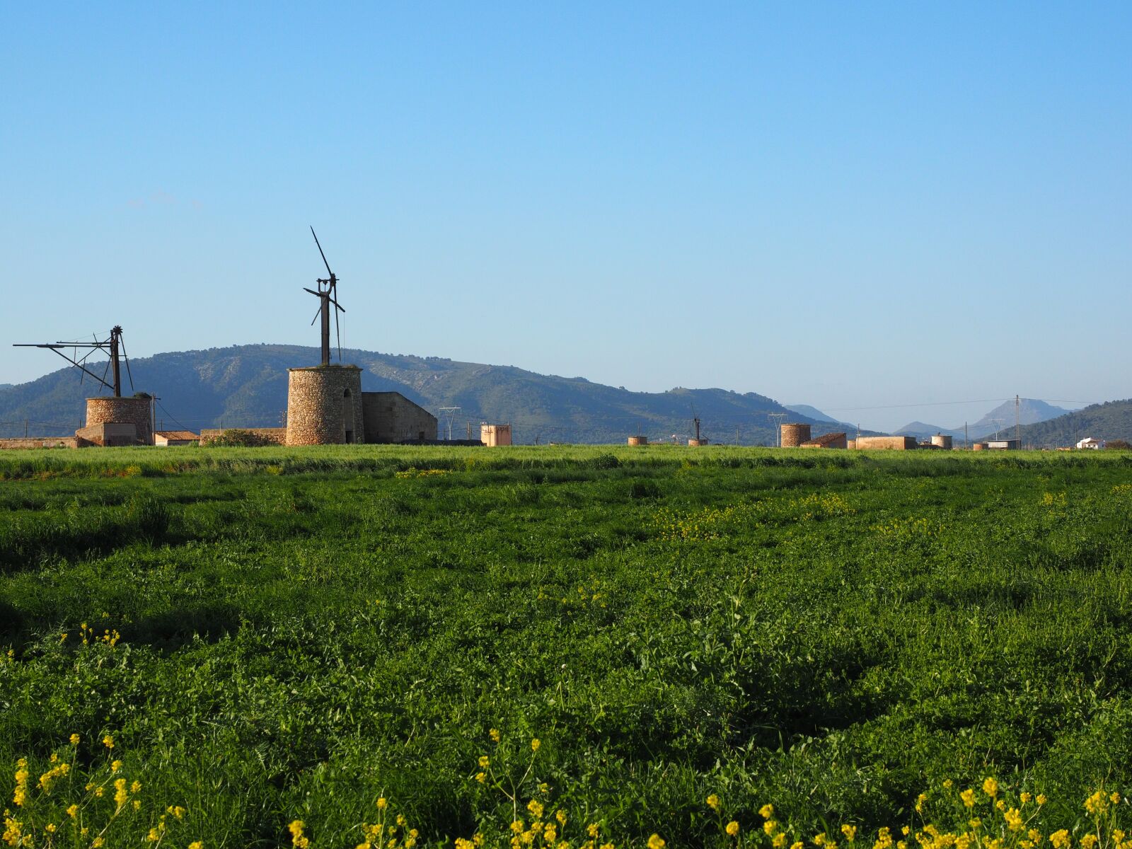 Olympus OM-D E-M1 + Olympus M.Zuiko Digital ED 12-40mm F2.8 Pro sample photo. Windmill, old, lapsed photography