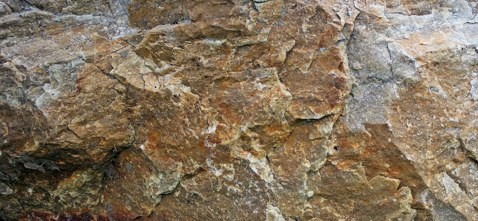 Canon EOS 550D (EOS Rebel T2i / EOS Kiss X4) sample photo. Stone, texture, structure photography