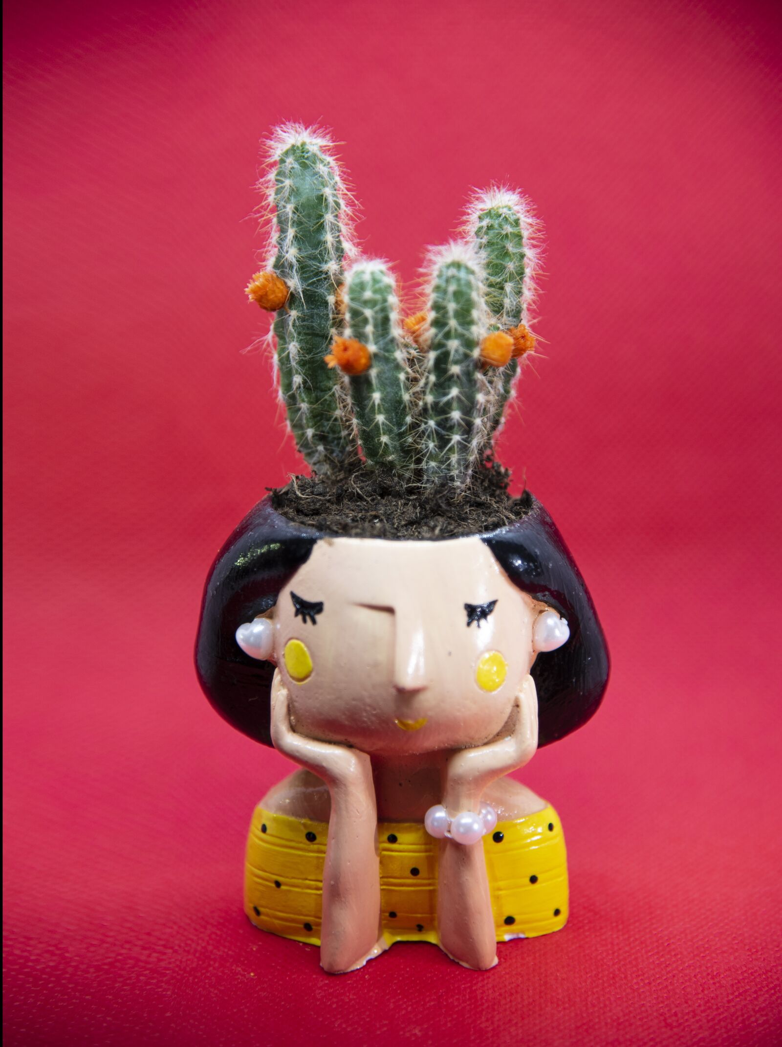 Nikon D750 sample photo. Cactus, trinket, plant photography