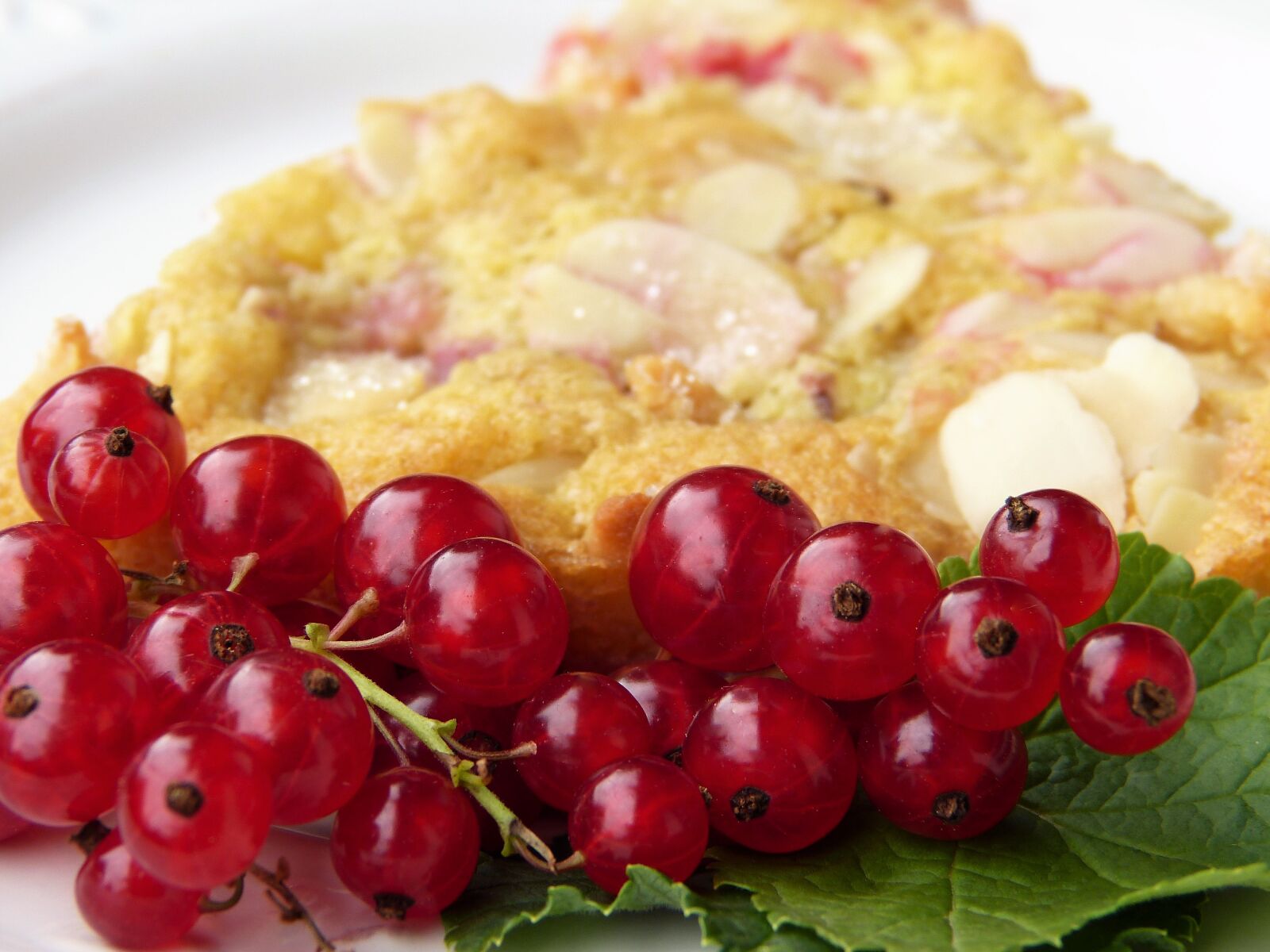Panasonic Lumix DMC-FZ150 sample photo. Currants, cake, almond tiles photography