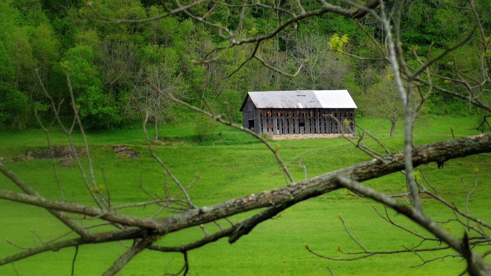 Fujifilm X30 sample photo. Old barn, dead tree photography