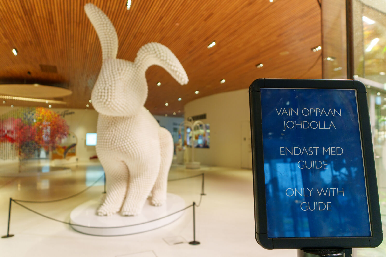 Sigma 10-18mm F2.8 DC DN sample photo. Candy bunny photography
