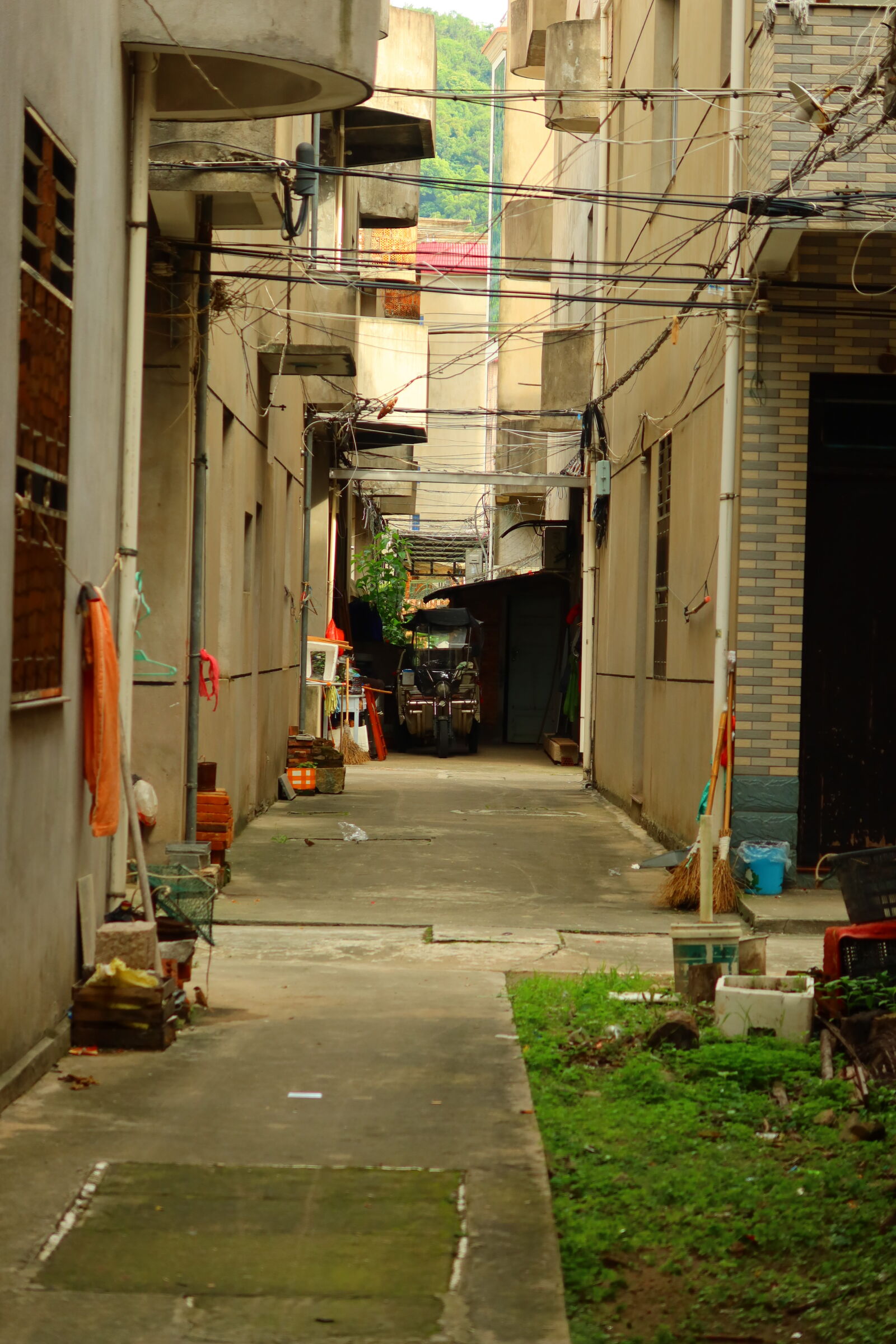 Canon PowerShot G7 X Mark III sample photo