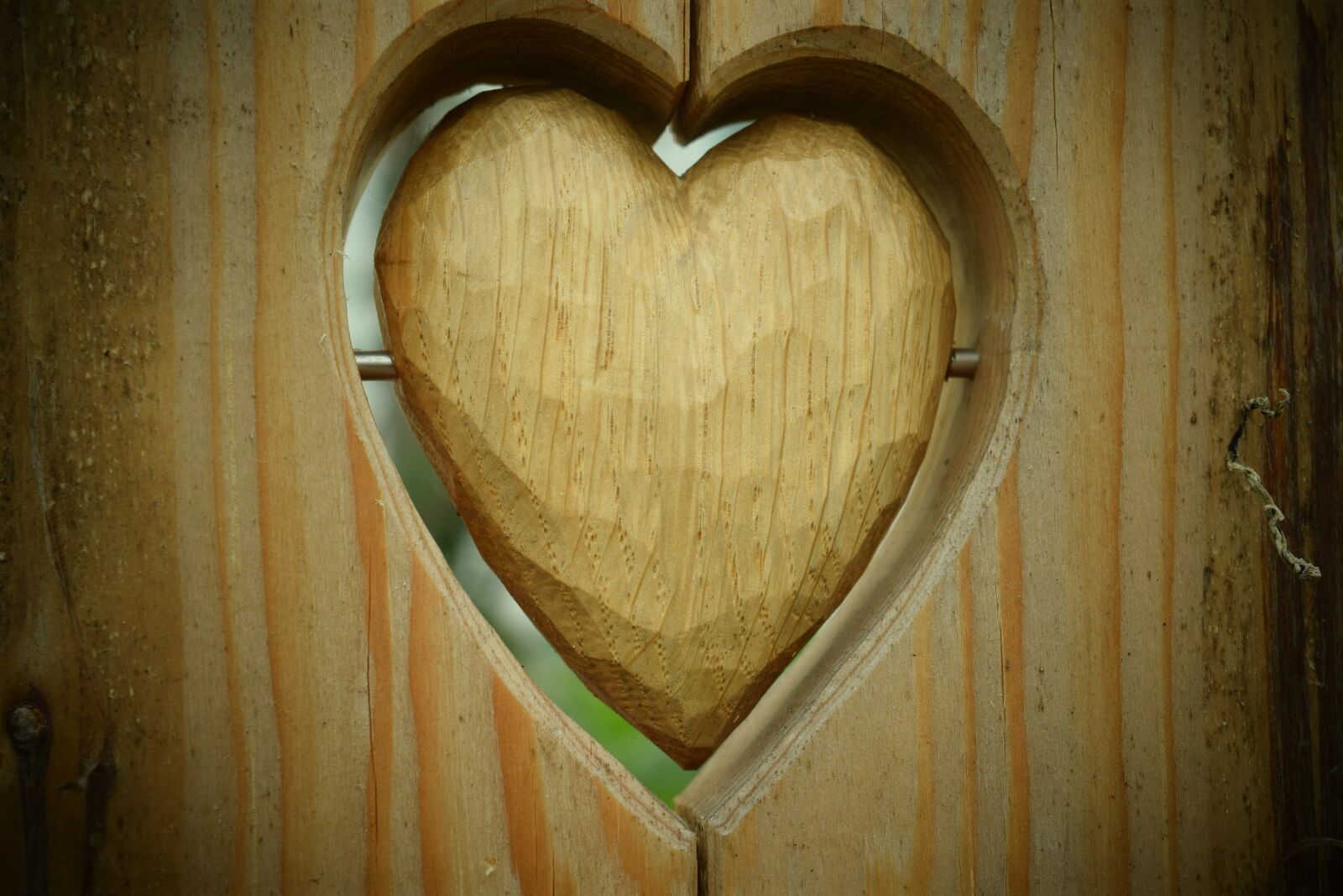 Nikon D3300 sample photo. Wood, heart, door, decoration photography