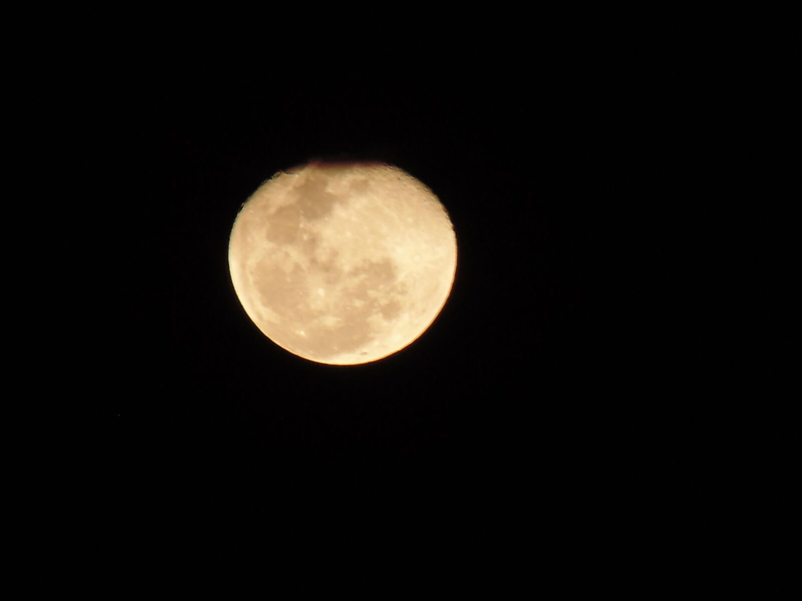 Sony DSC-H100 sample photo