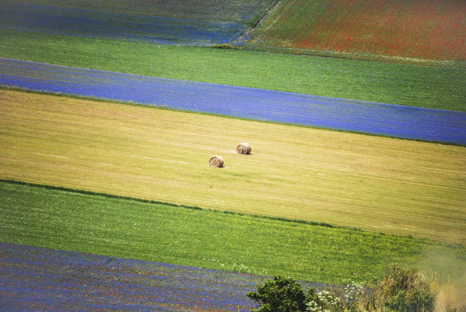 Nikon D60 sample photo. Landscape, nature, outdoors photography