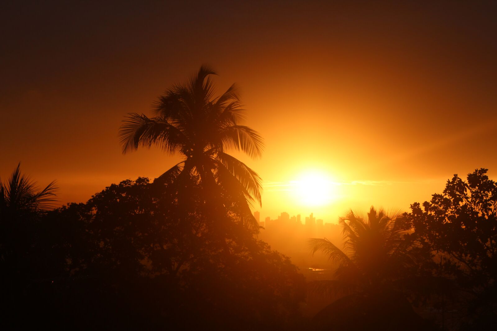 Canon EOS 600D (Rebel EOS T3i / EOS Kiss X5) sample photo. Sunset, sun, abendstimmung photography