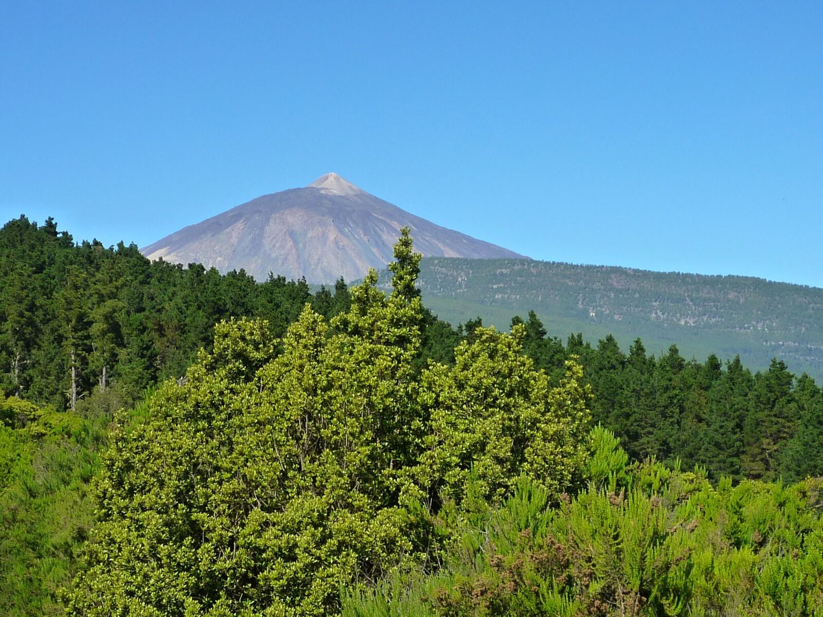 Panasonic DMC-FS15 sample photo. Canary islands, volcano, teide photography