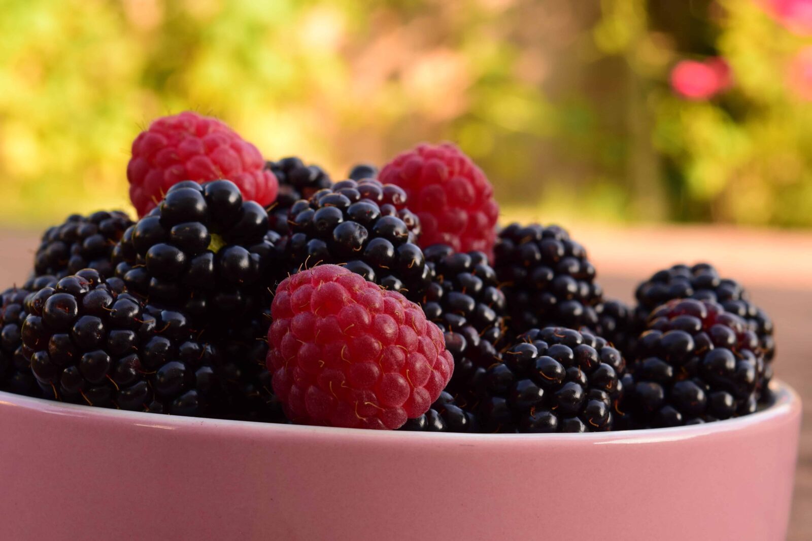 Nikon D3300 sample photo. Berry, bowl, fruit, food photography