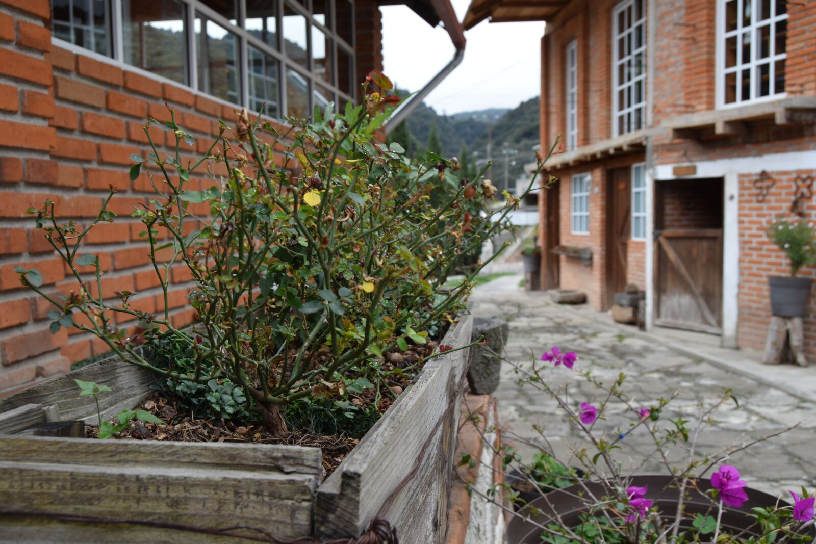 Nikon D3300 sample photo. Omitlan, hidalgo, paseo photography
