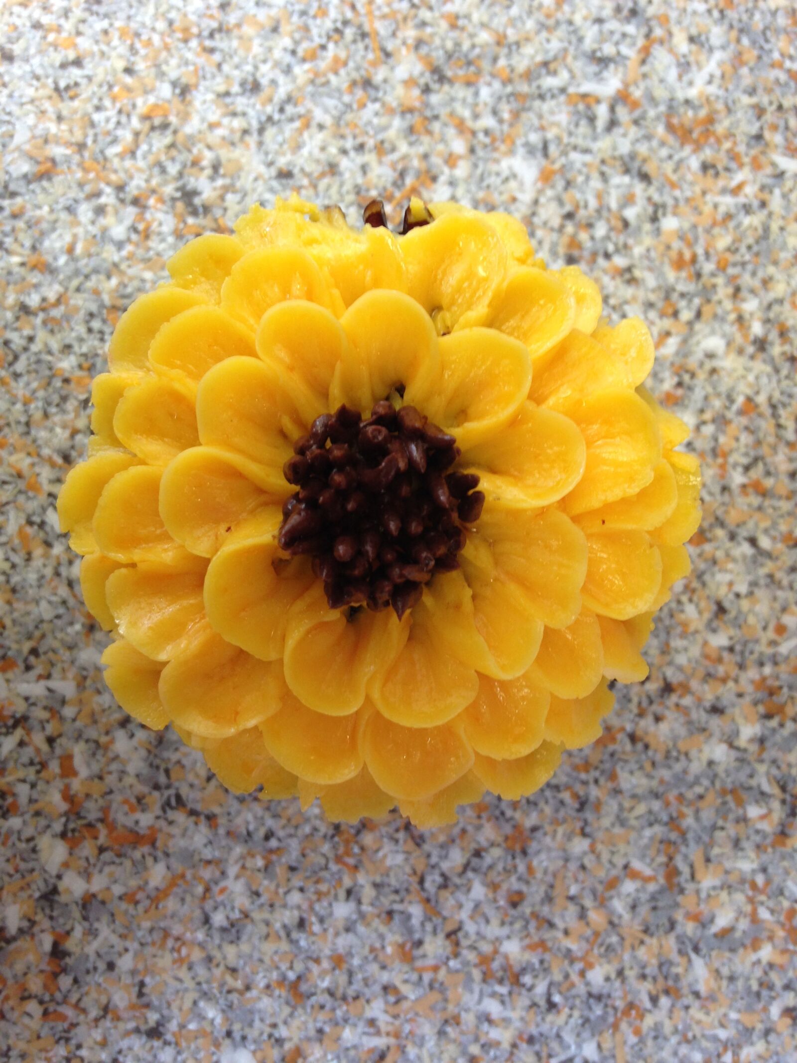 iPhone 5c back camera 4.12mm f/2.4 sample photo. Cupcake, sunflower, decorated bakery photography