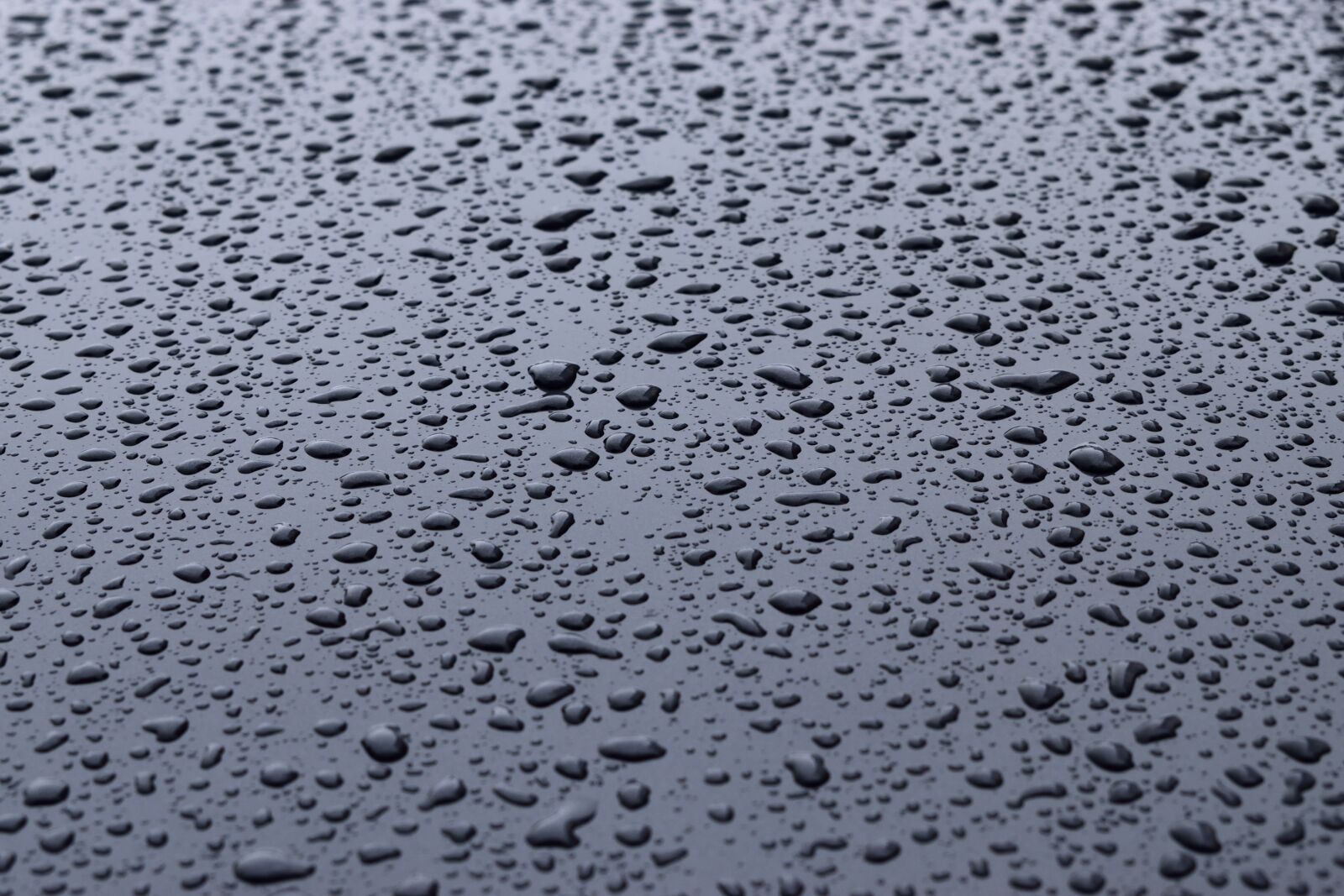 Nikon D3300 sample photo. Sample, wallpaper, abstract photography