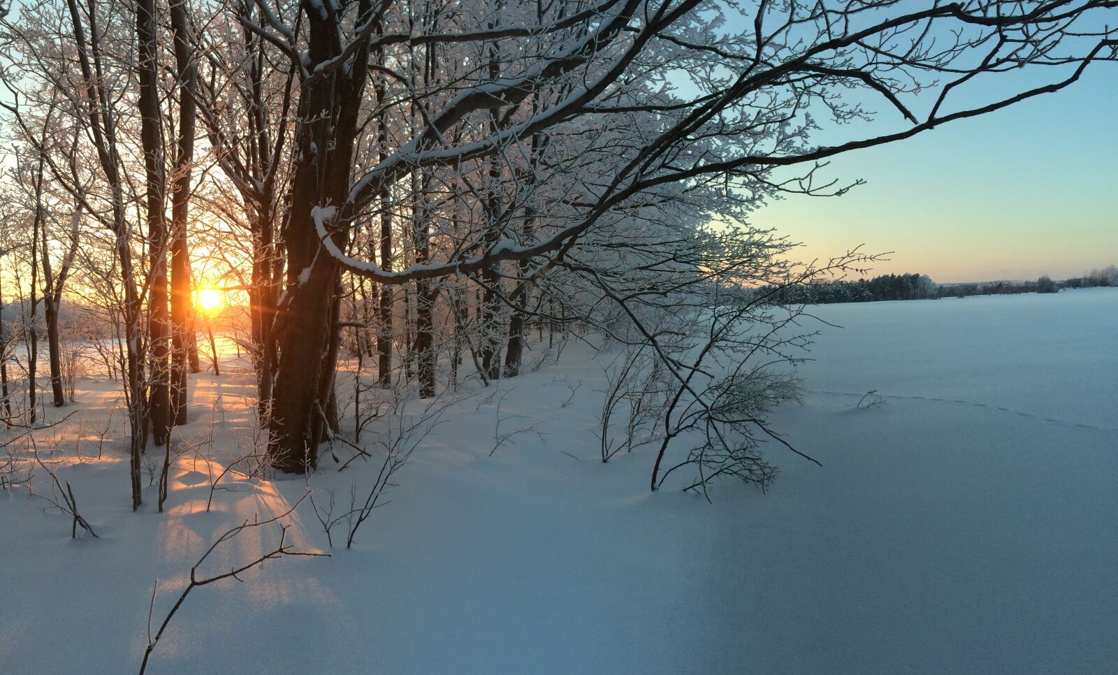 Apple iPhone 5s sample photo. Winter, nature, sun photography