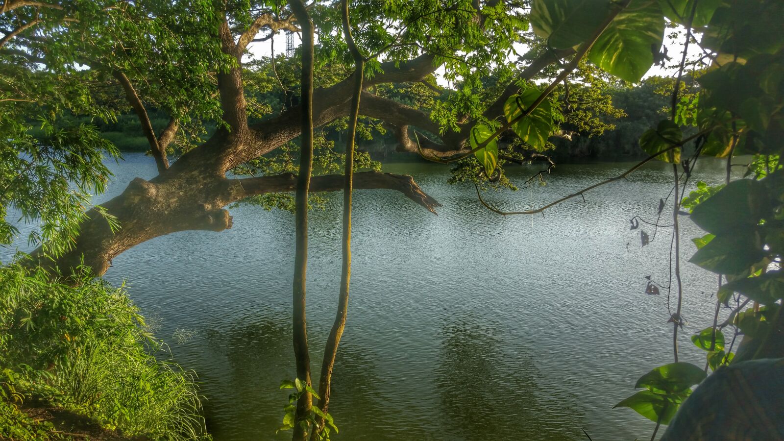 Samsung Galaxy Note4 sample photo. Ozama river, river, santo photography