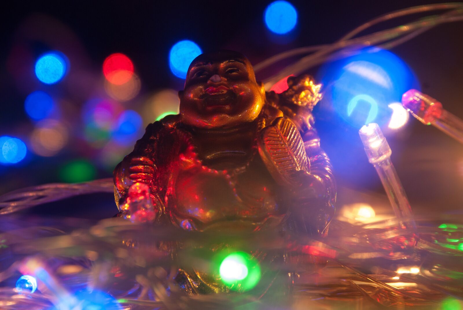 Nikon D80 sample photo. Lights, laughing, buddha photography
