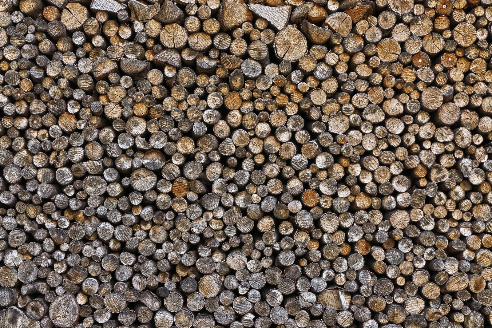 Panasonic Lumix DMC-FZ1000 sample photo. Strains, aesthetic, stacked photography