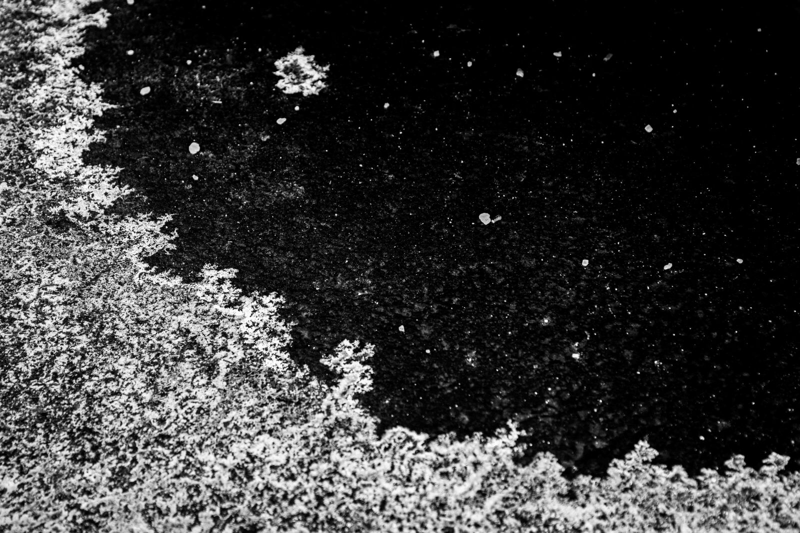 Nikon D7100 sample photo. Snow, winter, cold photography