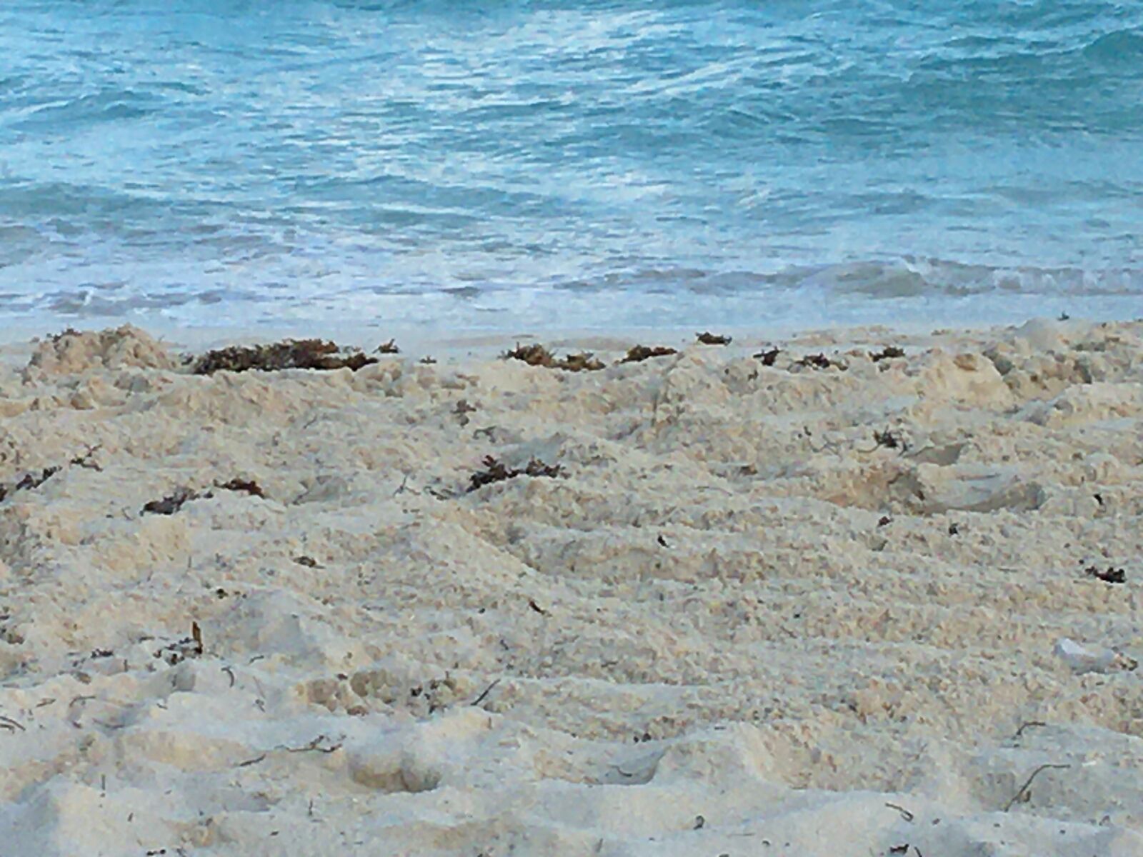 Apple iPhone 6s sample photo. Beach, quintana roo, cancun photography