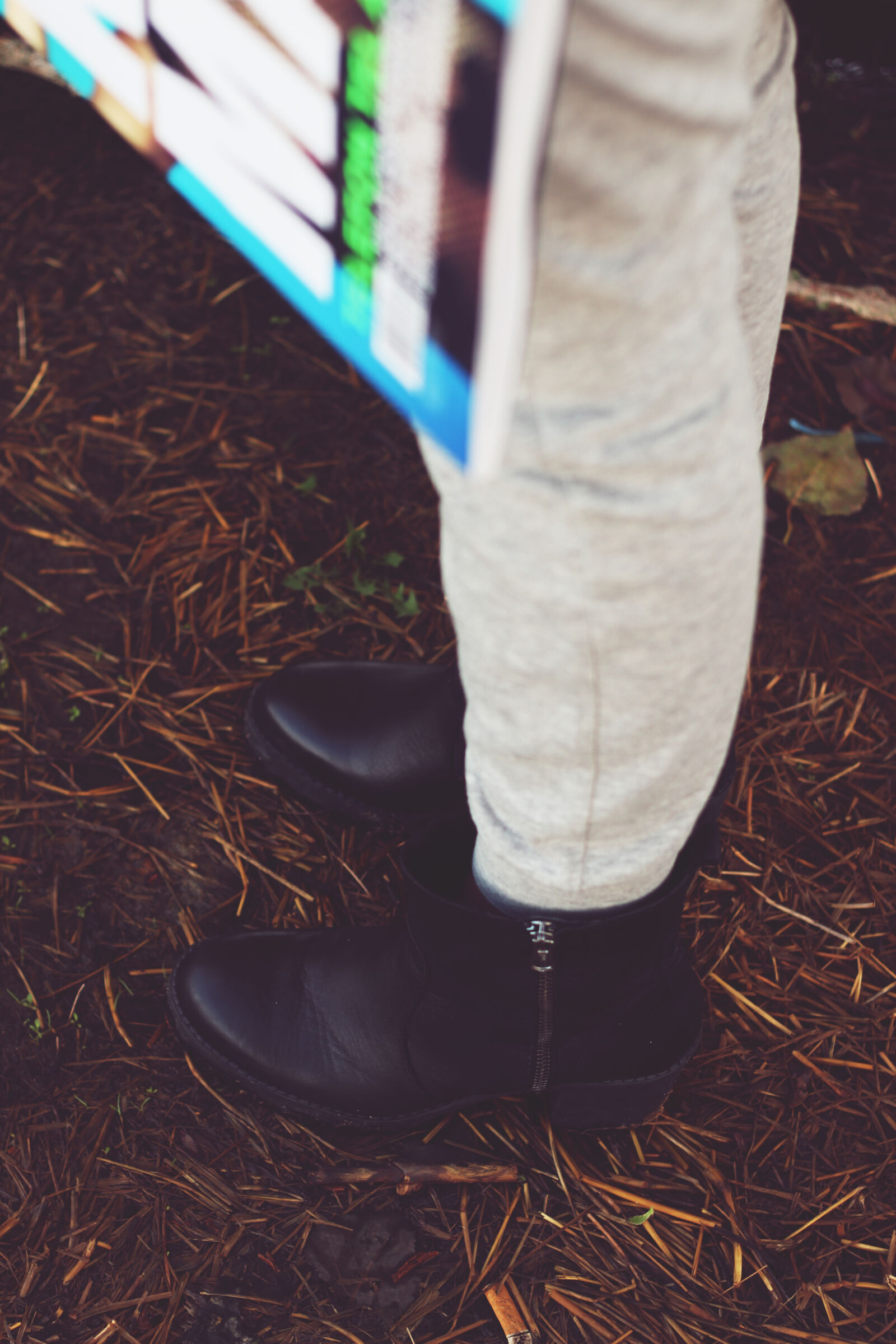 Canon EOS 600D (Rebel EOS T3i / EOS Kiss X5) + Canon EF 50mm F1.8 II sample photo. Autumn, shoes, iii photography