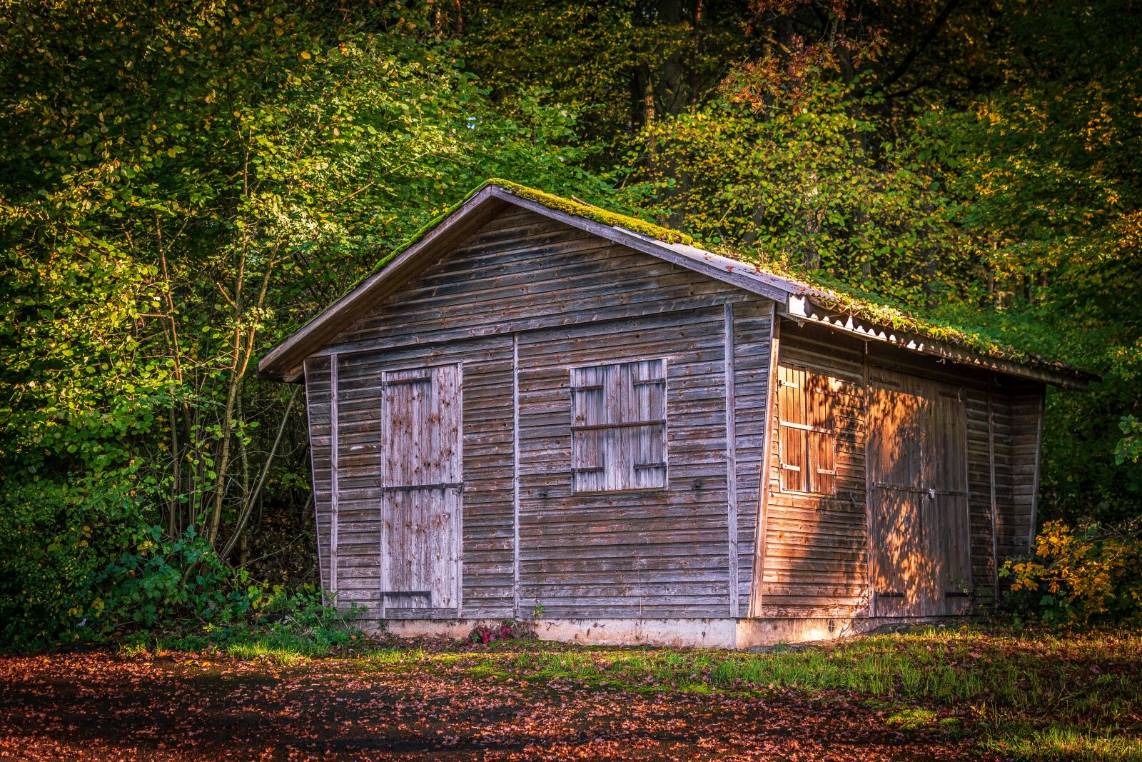 Nikon D7200 sample photo. Hut, forest, wood photography