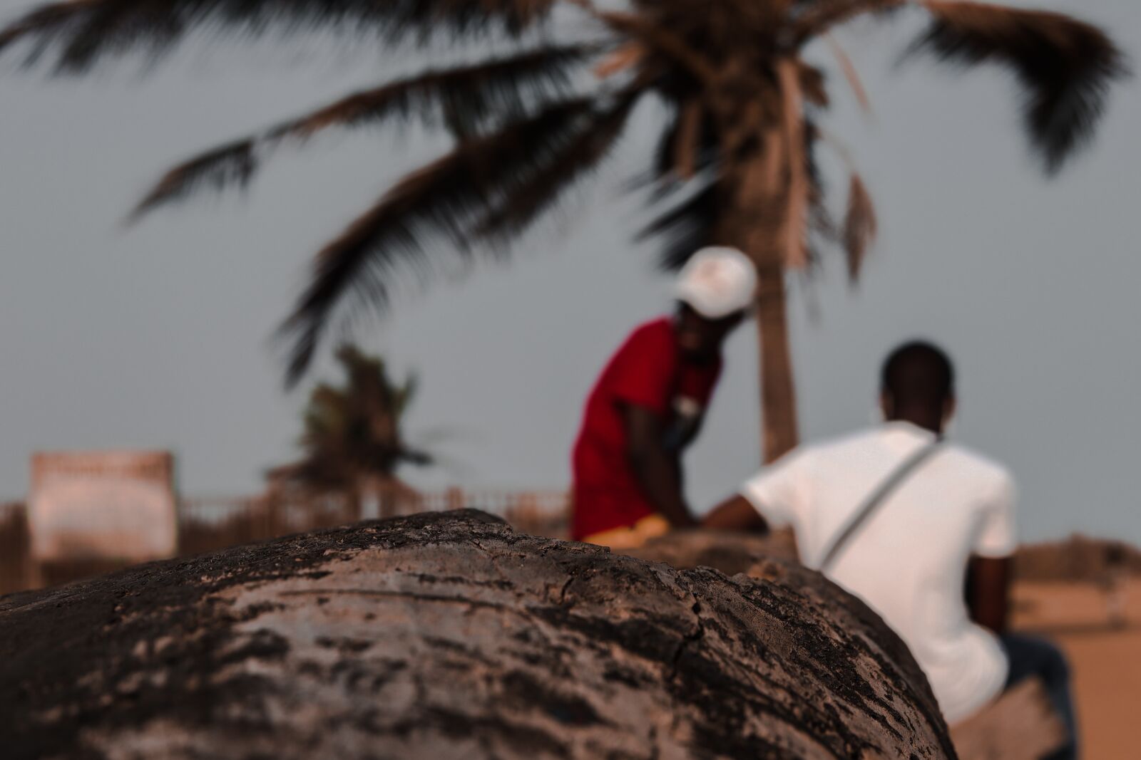 Canon EOS M50 (EOS Kiss M) + Canon EF 50mm F1.8 STM sample photo. African, beach, nature photography