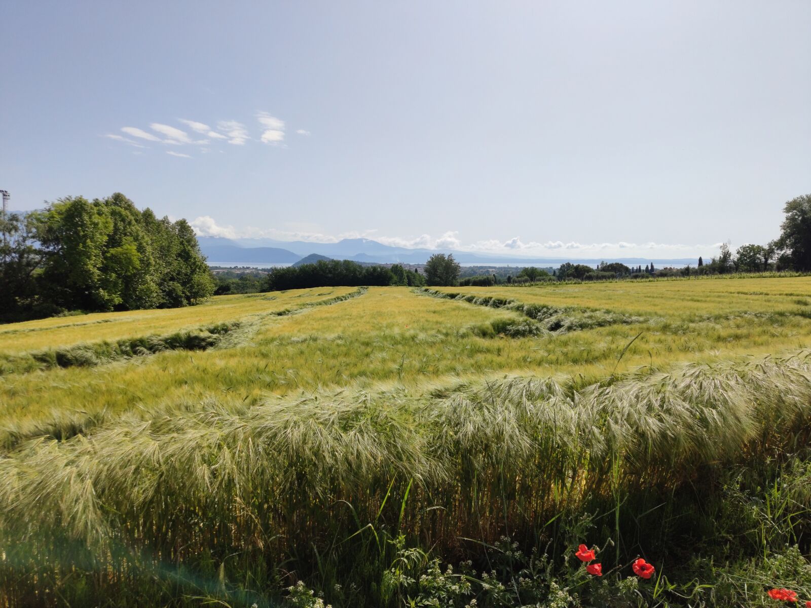 Xiaomi MI 9 sample photo. Field, landscape, italy photography