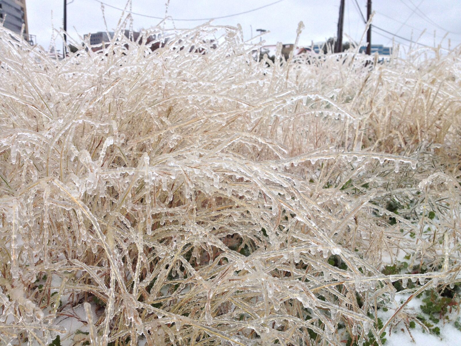 iPhone 4S back camera 4.28mm f/2.4 sample photo. Winter, ice storm, texas photography