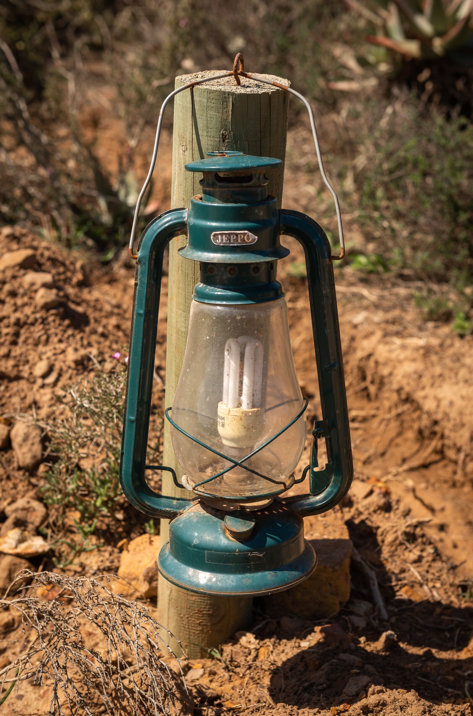 Nikon D750 sample photo. Lantern, light, lamp photography